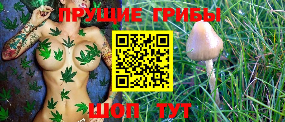 Галлюциногенные грибы MAGIC MUSHROOMS Каменск-Уральский
