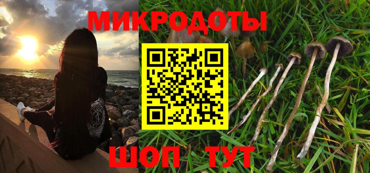 Каменск-Уральский  Галлюциногенные грибы Psilocybine cubensis  Вход с VPN  Псилоцибиновые грибы мухоморы 